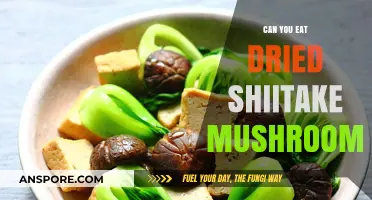Can You Eat Dried Shiitake Mushrooms? Benefits and Preparation Tips