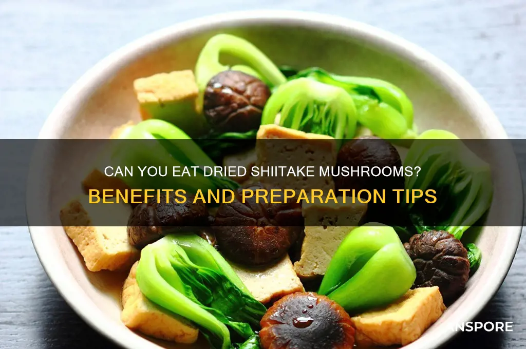 can you eat dried shiitake mushrooms