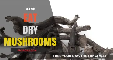 Can You Eat Dry Mushrooms? A Complete Guide to Safety and Preparation