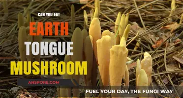 Can You Eat Earth Tongue Mushroom? A Tasty or Toxic Fungus?