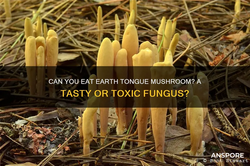 can you eat earth tongue mushroom