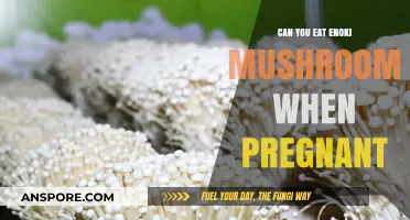 Enoki Mushrooms and Pregnancy: Safe to Eat or Not?