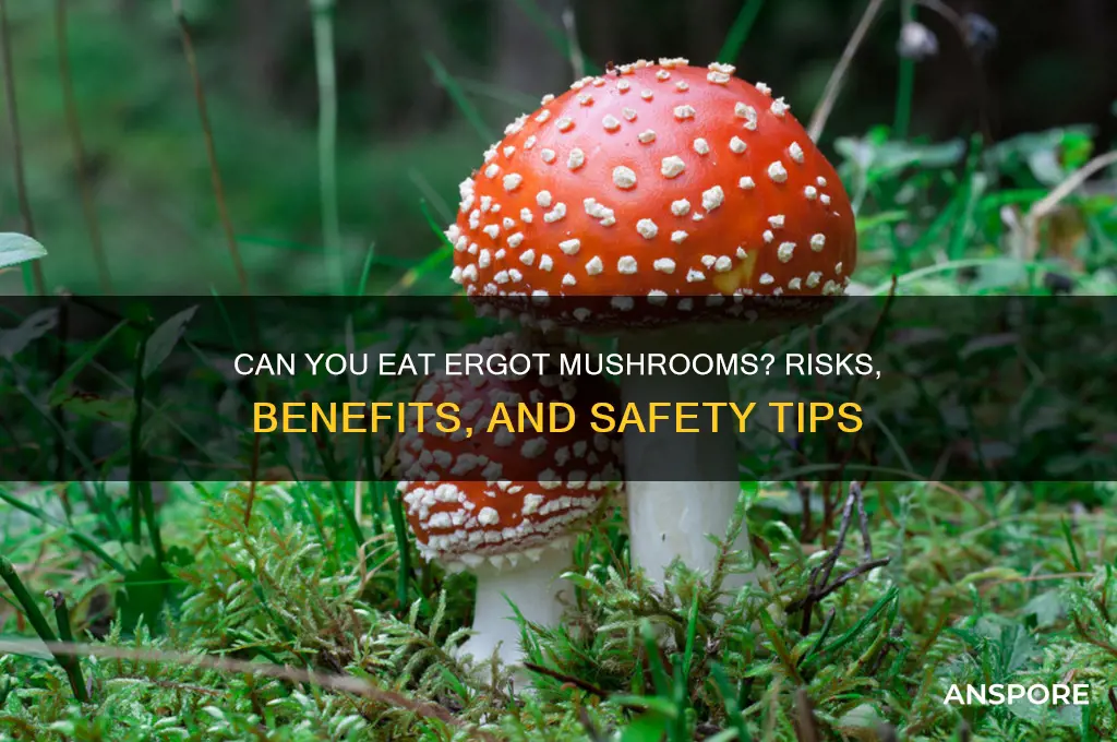 can you eat ergot mushrooms