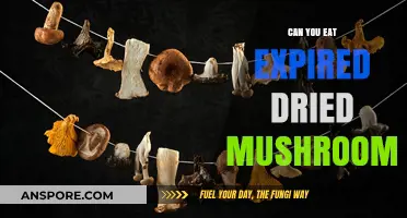 Expired Dried Mushrooms: Safe to Eat or Toss Out?