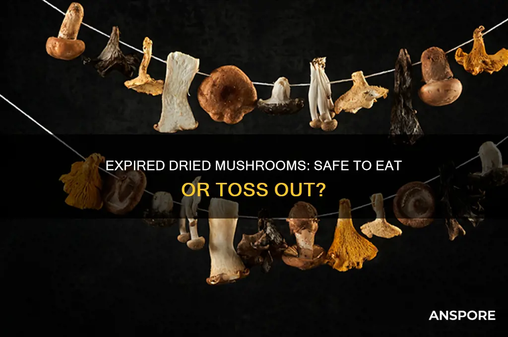 can you eat expired dried mushrooms