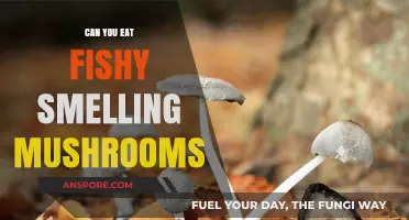 Fishy Mushrooms: Safe to Eat or Toxic Trap?