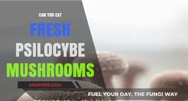Can You Safely Eat Fresh Psilocybe Mushrooms? Facts and Risks