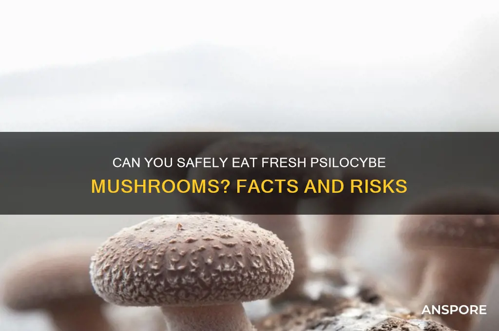 can you eat fresh psilocybe mushrooms