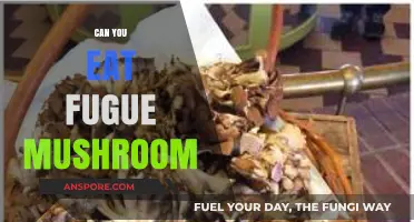Can You Safely Eat Fugue Mushrooms? Risks and Facts Explained