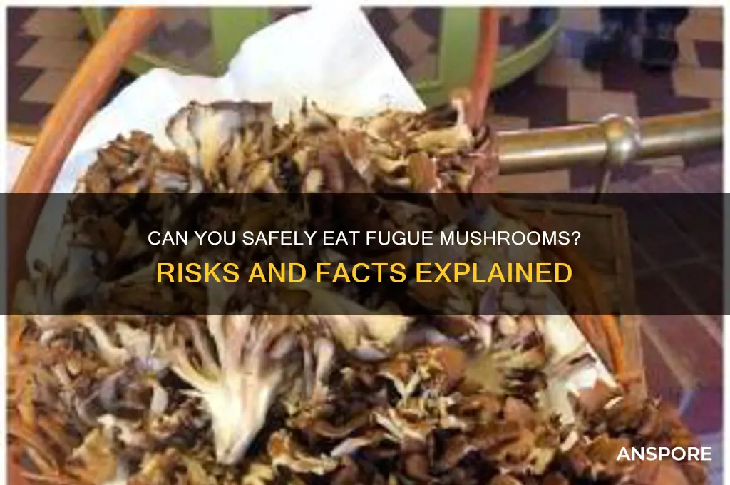can you eat fugue mushroom