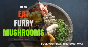 Are Furry Mushrooms Safe to Eat? A Forager's Guide