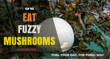 Fuzzy Mushrooms: Safe to Eat or Toxic Danger?