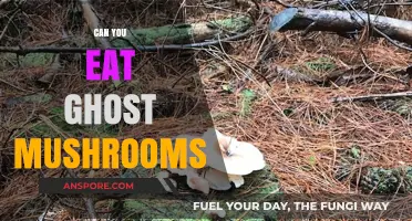 Can You Eat Ghost Mushrooms? Unveiling the Truth About These Fungi