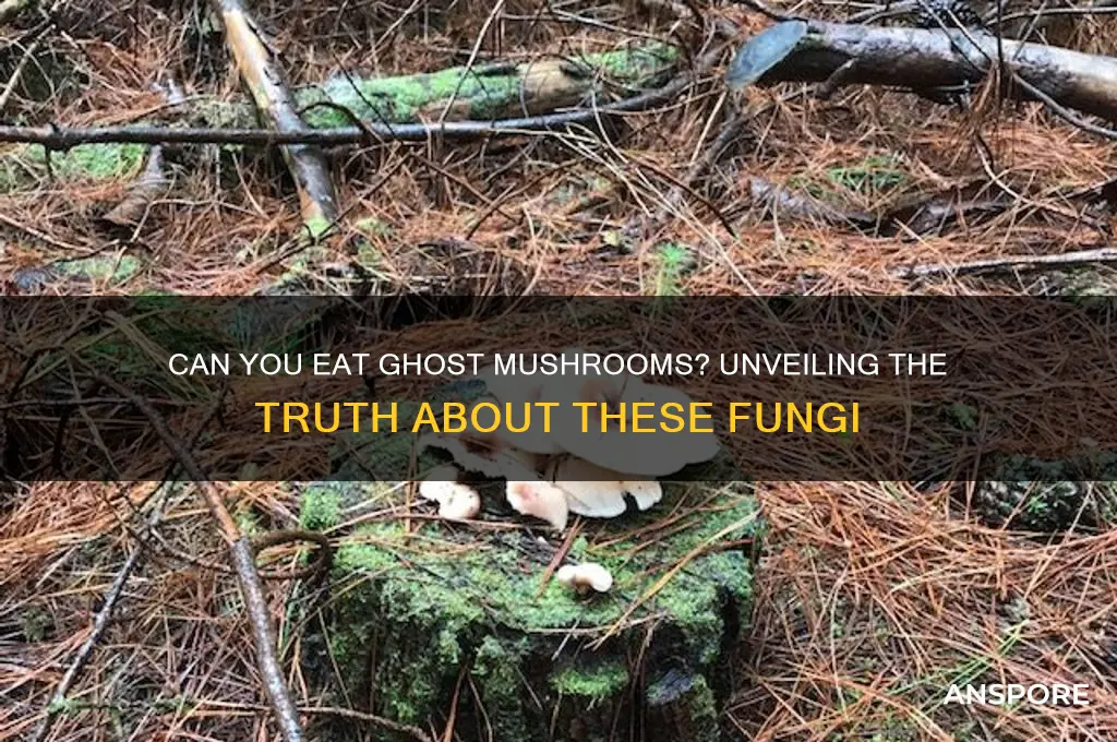 can you eat ghost mushrooms