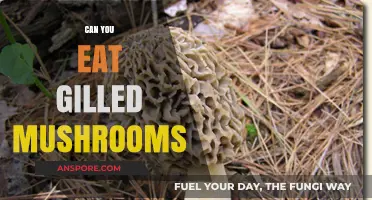 Gilled Mushrooms: Safe to Eat or Toxic? A Guide