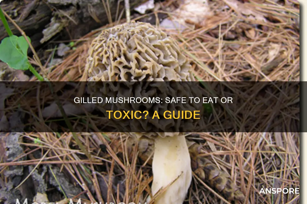 can you eat gilled mushrooms