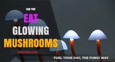 Glowing Mushrooms: Are They Safe to Eat or Just a Bioluminescent Wonder?