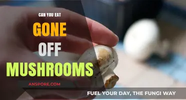 Are Spoiled Mushrooms Safe to Eat? Risks and Precautions