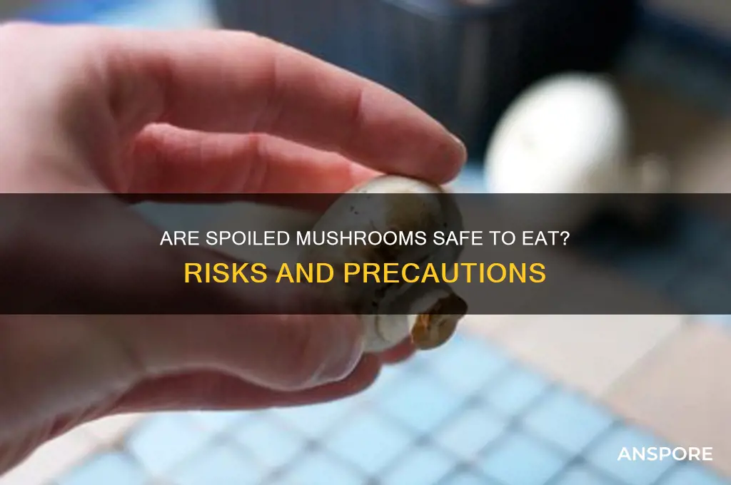 can you eat gone off mushrooms