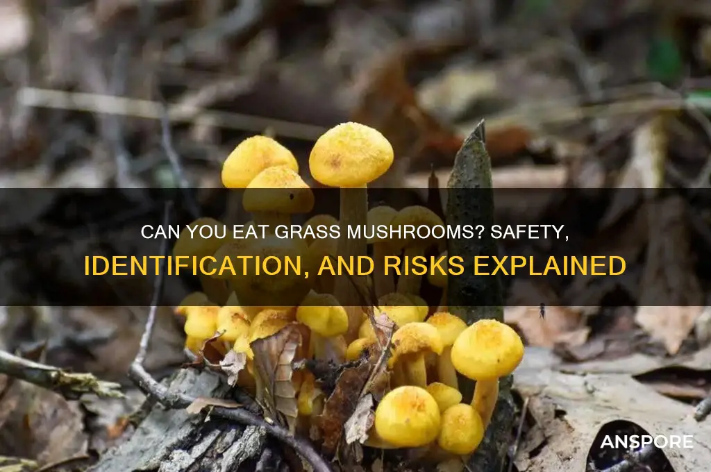 can you eat grass mushrooms