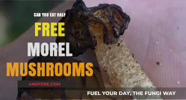 Can You Safely Eat Half-Free Morel Mushrooms? A Guide