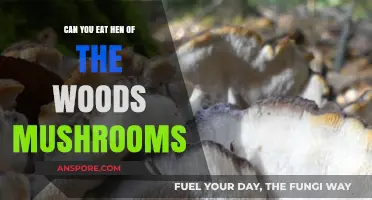 Can You Eat Hen of the Woods Mushrooms? A Tasty Guide