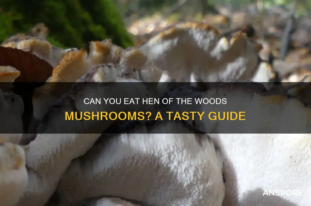can you eat hen of the woods mushrooms