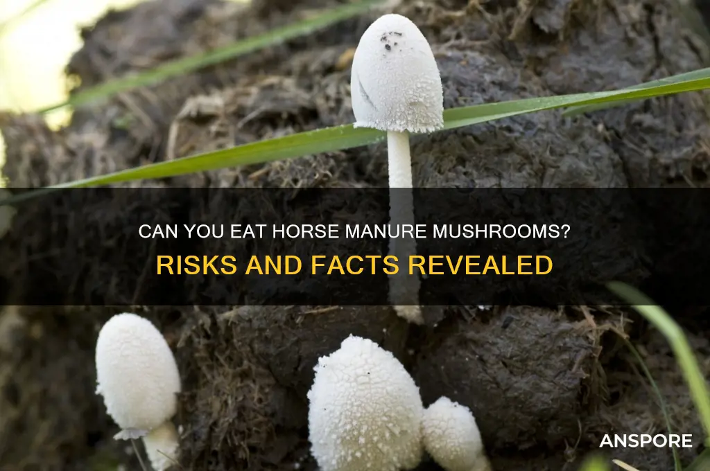 can you eat horse manure mushrooms