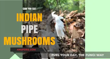Can You Eat Indian Pipe Mushrooms? Safety and Facts Revealed