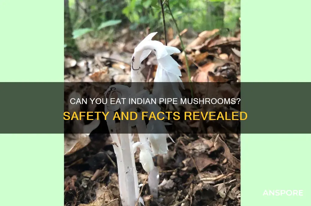 can you eat indian pipe mushrooms