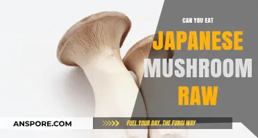 Can You Eat Japanese Mushrooms Raw? A Safety Guide