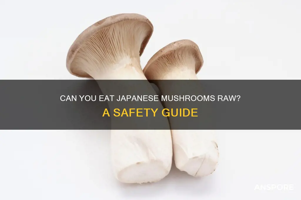 can you eat japanese mushrooms raw
