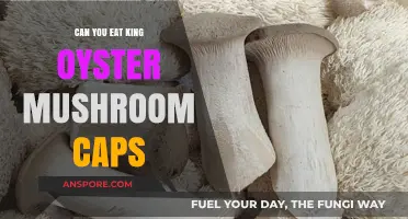 Can You Eat King Oyster Mushroom Caps? A Tasty Guide