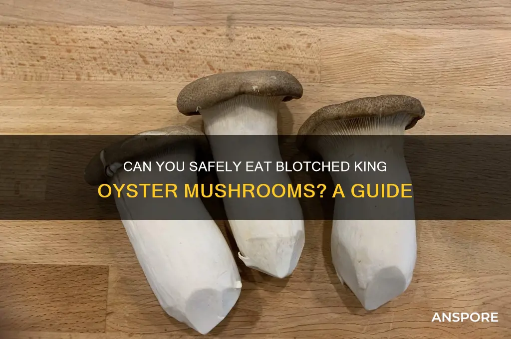 can you eat king oyster mushroom with blotch