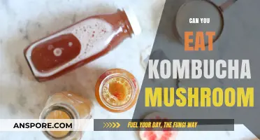 Can You Eat Kombucha Mushroom? Uncovering the Edible Truth