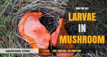 Edible Larvae in Mushrooms: Safe to Eat or Avoid?