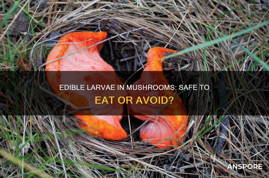 can you eat larvae in mushrooms