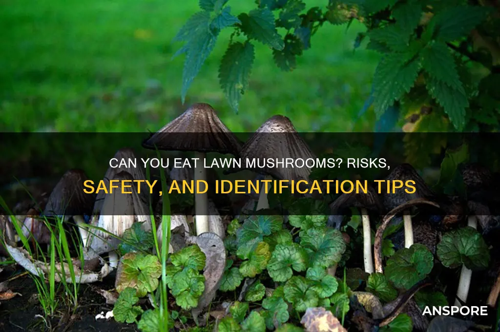 can you eat lawn mushrooms