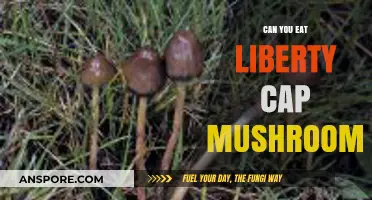 Can You Eat Liberty Cap Mushrooms? Risks, Effects, and Legalities