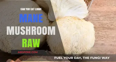 Can You Eat Lion's Mane Mushroom Raw? Benefits and Risks Explained