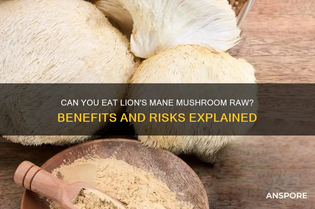 can you eat lions mane mushroom raw