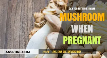 Pregnancy and Lion's Mane Mushrooms: Safe to Eat or Not?