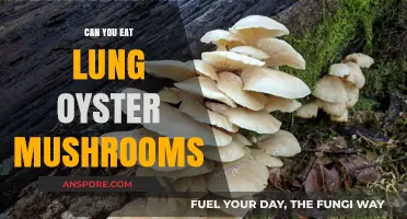 Can You Eat Lung Oyster Mushrooms? A Tasty Fungus Guide