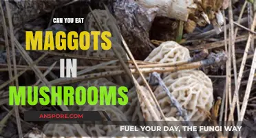 Are Maggots in Mushrooms Safe to Eat? A Guide