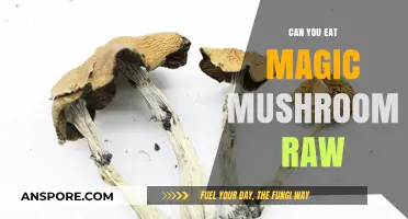 Can You Eat Magic Mushrooms Raw? Risks and Considerations