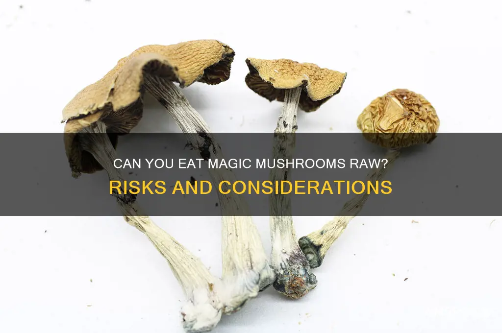 can you eat magic mushroom raw
