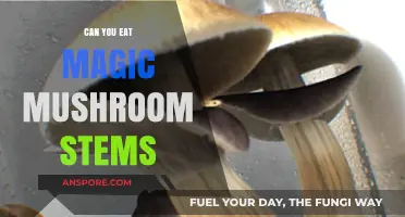 Can You Eat Magic Mushroom Stems? A Safe Consumption Guide