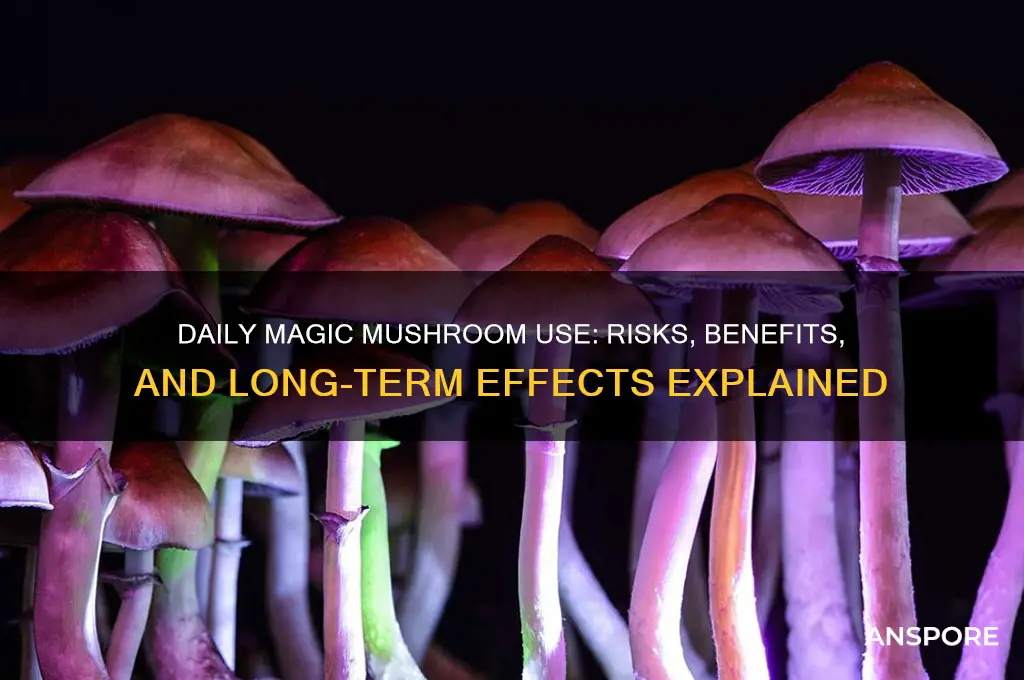 can you eat magic mushrooms every day