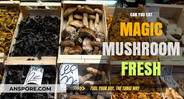 Can You Eat Magic Mushrooms Fresh? A Comprehensive Guide