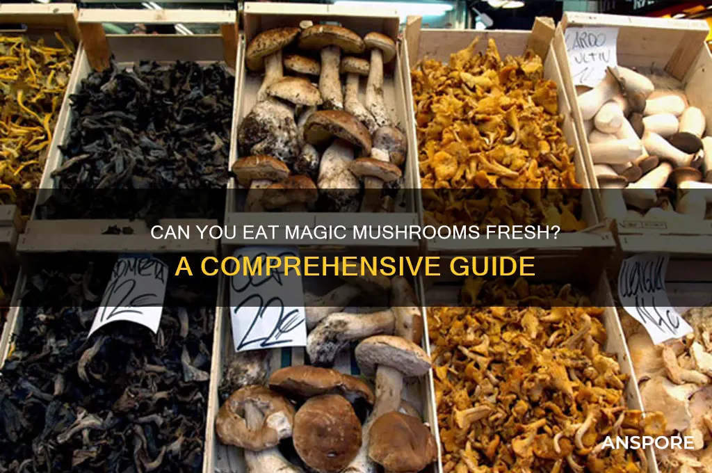 can you eat magic mushrooms fresh
